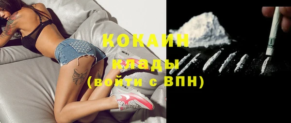 PSILOCYBIN Нефтегорск
