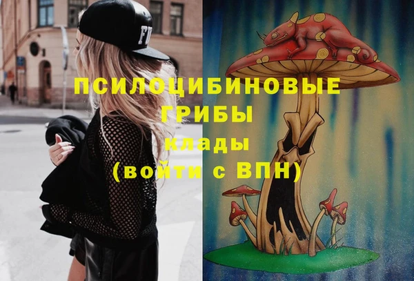 метадон Заводоуковск