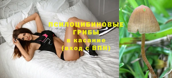 дживик Заволжье