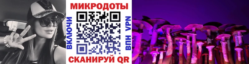 Галлюциногенные грибы Cubensis  Спасск-Рязанский 
